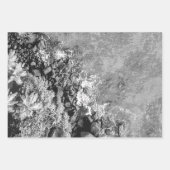 Rakken in het zee, boven uitzicht 2 inpakpapier vel (Voorkant)