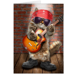 Rakker kat - zware metalen kat - gekke kat