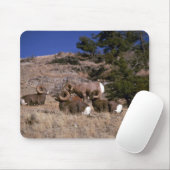 Rakkerbighorn-schaap (bachelorram-band) muismat (Met muis)