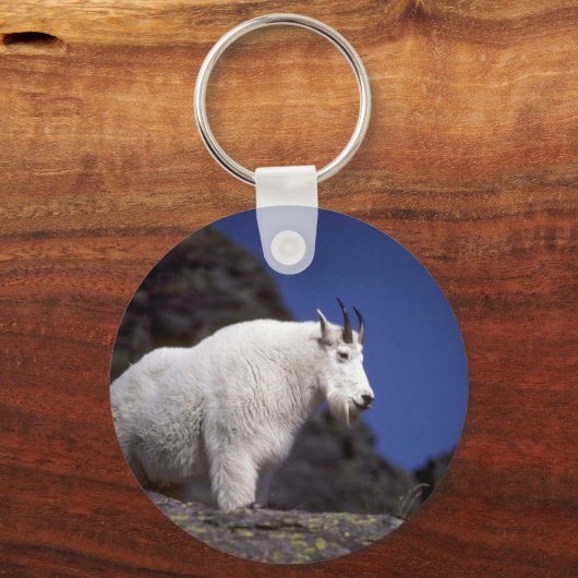 Rakkergebergte (groot mannetje) sleutelhanger (Voorkant)