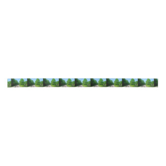 Raleigh County Train Tracks Lint