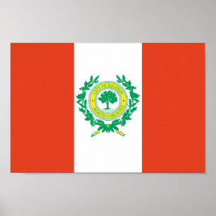Raleigh, Vlag North Carolina Poster