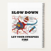 Ralentissez Laissez Vos Synapses Incendies Neuron (Dos)