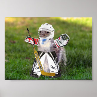 Rally Goalie Poster