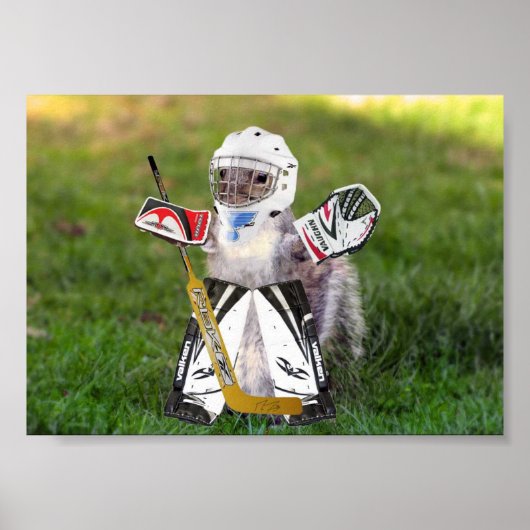 Rally Goalie Poster (Voorkant)