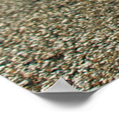 Rally Ready Poster (Hoek)