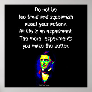 Ralph Waldo Emerson - Woorden van Wisdom Poster