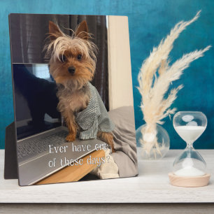 Ralphie de Theekop Yorkie Een Van Die Dagen Fotoplaat
