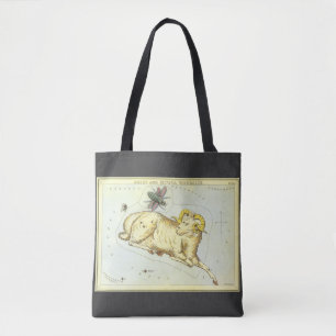 Ram Aries, Antieke Sterrenbeelden, Urania's Spiege Draagtas