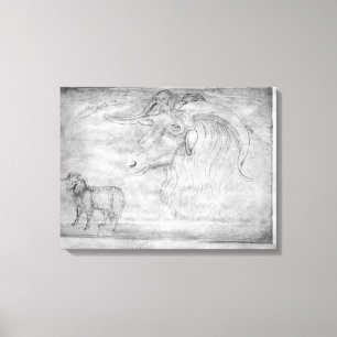 Ram en hoofd van een ram canvas afdruk