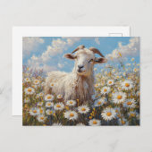 Ram in een Daisy Field schilderij Briefkaart (Voorkant / Achterkant)