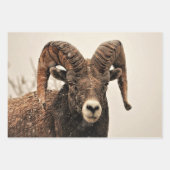 Ram Inpakpapier Vel (Voorkant 3)