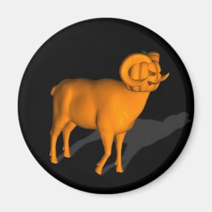 Ram Magneet
