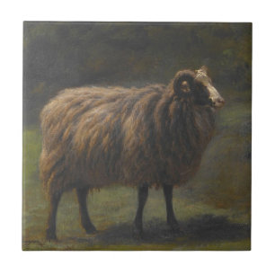 Ram (Mannelijk Schaap) op het Boerderij (door Rosa Tegeltje