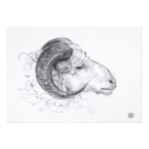 Ram - oorspronkelijke tekening - fotoafdrukken