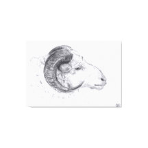 RAM - Originele tekening - Canvas Print