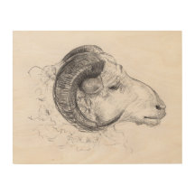 RAM - Originele tekening op houten canvas