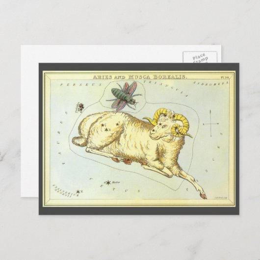 Ram Ram,  sterrenbeeld, Urania's Mirror Briefkaart (Voorkant / Achterkant)