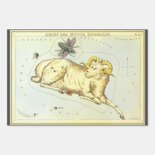 Ram Ram,  sterrenbeeld, Urania's Mirror Inpakpapier Vel (Voorkant 2)