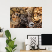 Ram Sheep Mountain Natuur Wall Poster (Thuiskantoor)