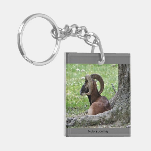 Ram Sleutelhanger (Voorkant Links)