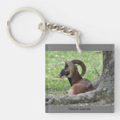 Ram Sleutelhanger (Voorkant)