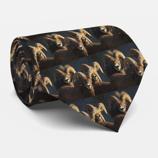 Ram Stropdas (Opgerold)