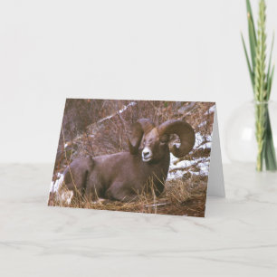 Ram vrolijke kerstkaart feestdagen kaart