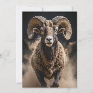 Ram Wild Animal Elegant Dramatisch Mist Portret Aankondiging