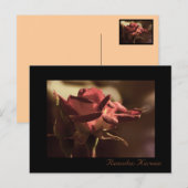 Ramadan Kareem - carte postale rose rouge (Devant / Derrière)