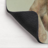 Ramapithecus Muismat (Hoek)