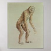 Ramapithecus Poster (Voorkant)