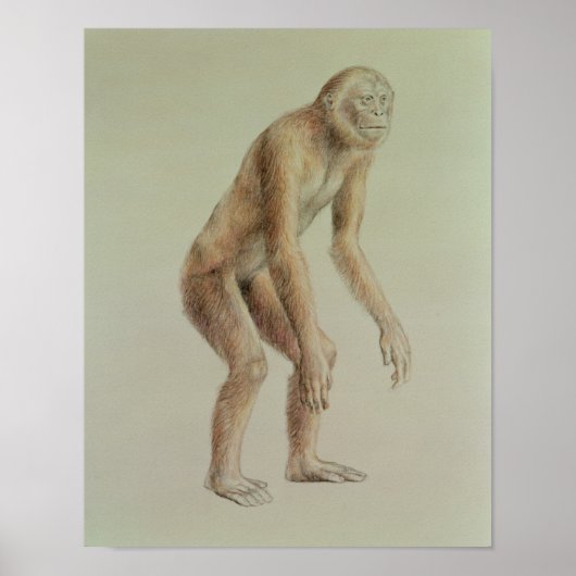 Ramapithecus Poster (Voorkant)