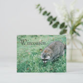 Ramblin' Raccoon Briefkaart (Staand voorkant)