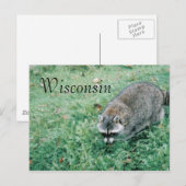 Ramblin' Raccoon Briefkaart (Voorkant / Achterkant)