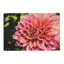Rambling Fancy Dahlia