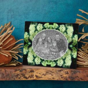 Rambling Wild White Roses Creëer Uw eigen foto Fotoplaat