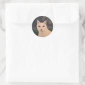 Rambo de Kat Ronde Sticker (Tas)