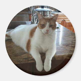 Rambo - Oranje Kat Magneet