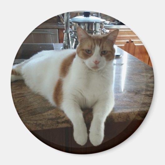 Rambo - Oranje Kat Magneet (Voorkant)