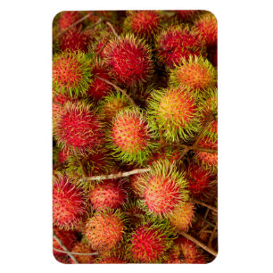 Rambutan Fruit at Can Duoc Market Magneet