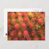 Rambutan Tropical Fruit Briefkaart (Voorkant / Achterkant)