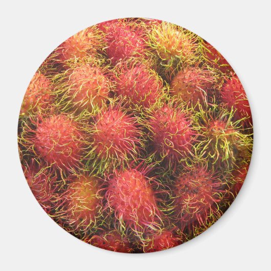 Rambutan Tropical Fruit Magneet (Voorkant)