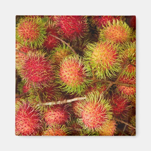 Rambutanfruit op Can Duoc-markt Magneet (Voorkant)