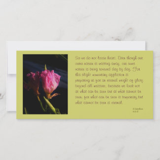 ramen van katten bloemen 018.JPG, dus laten we nie