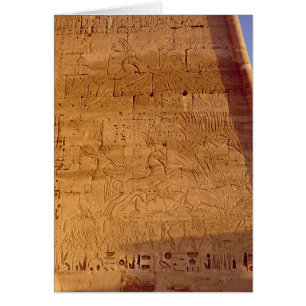 Ramesses III chasse les taureaux sauvages