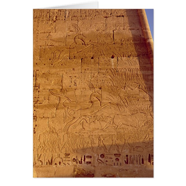 Ramesses III chasse les taureaux sauvages (Devant)