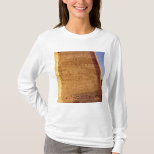 Ramesses III jacht op wilde stieren T-shirt
