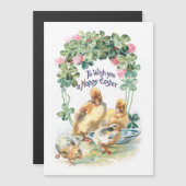  rammels, kuikens en klaver (Voorkant / Achterkant)