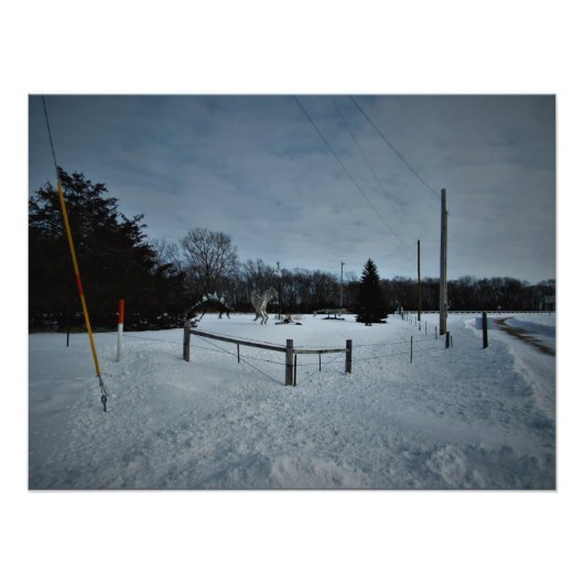 "Rampage in the Park" Foto Afdruk (Voorkant)